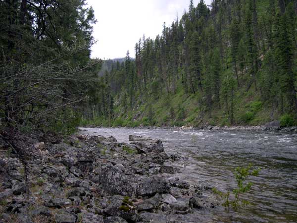 South Fork of the Salmon River