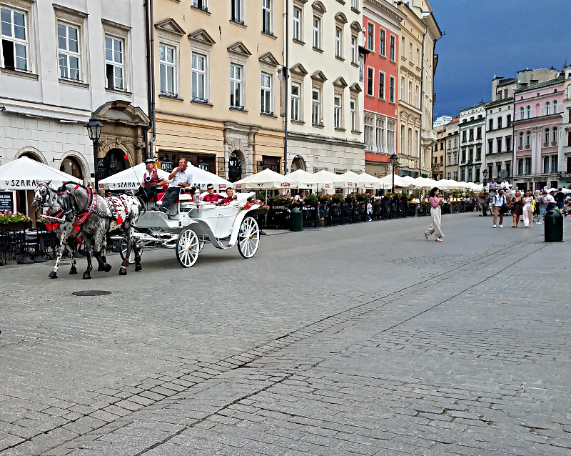 horse-drawn carriage