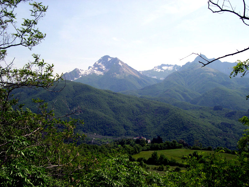 Monte Pisanino