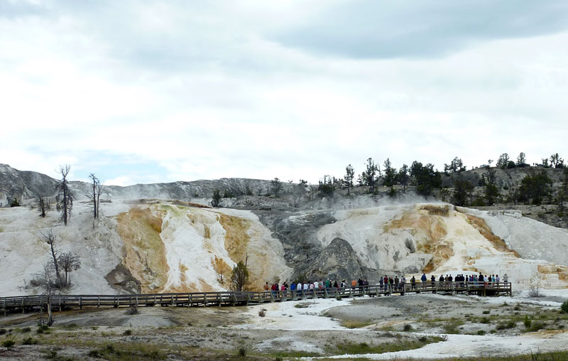 Mammoth Hot Springs