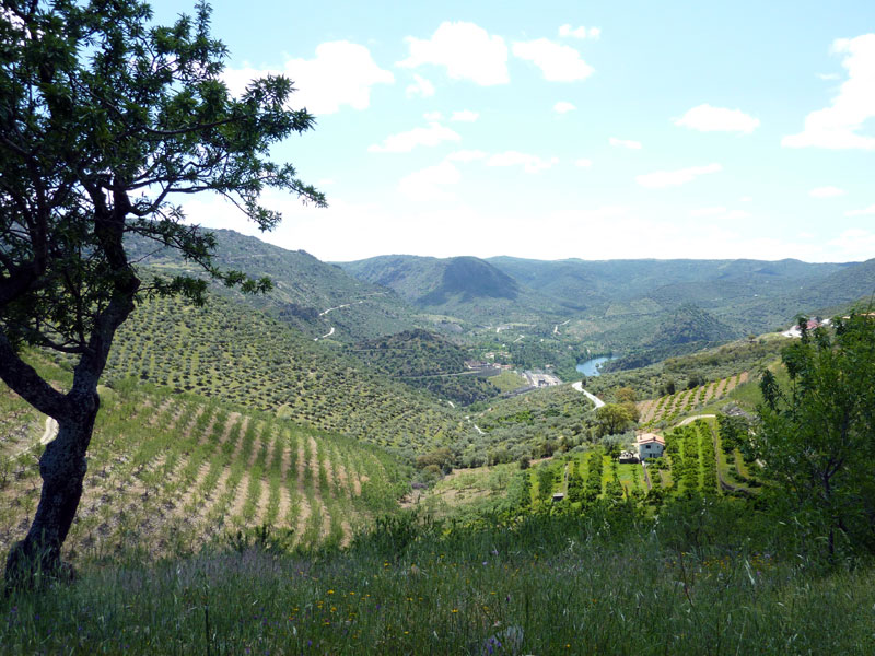 upper Douro