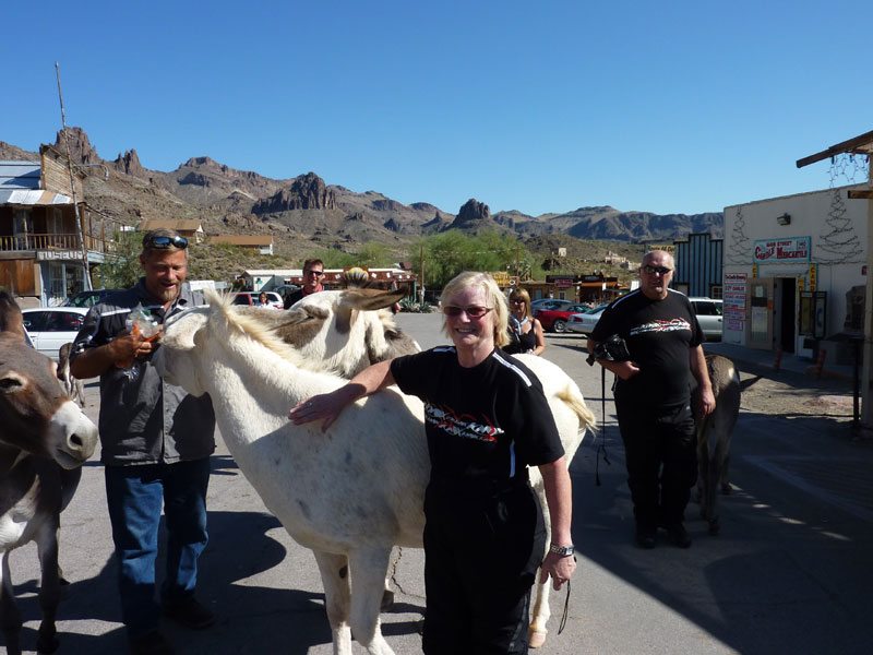 Oatman, Arizona