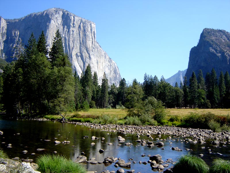 Yosemite National Park