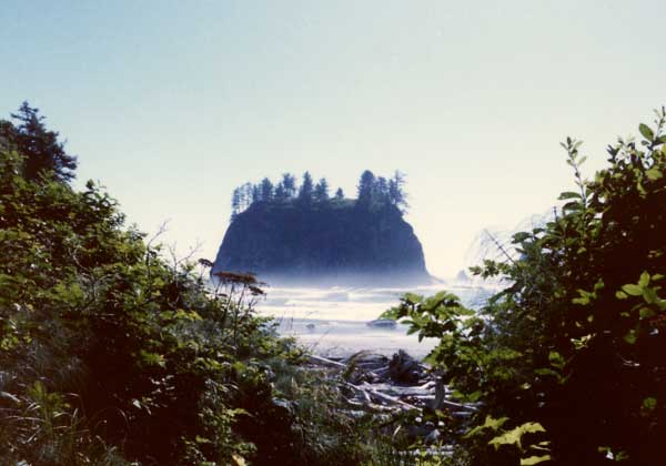 Northern Washington Coast